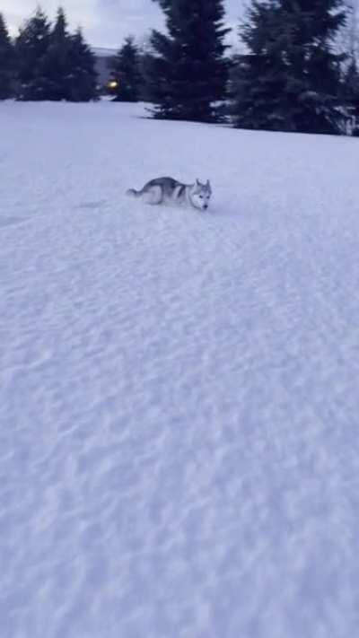 Was told you guys would like this here.