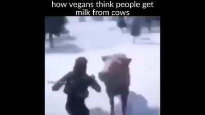 21stCenturyHumour - Video #9136