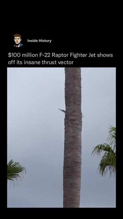 Fighter jet shows off its insane thrust vector