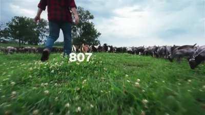 La publicidad de Lays y Messi