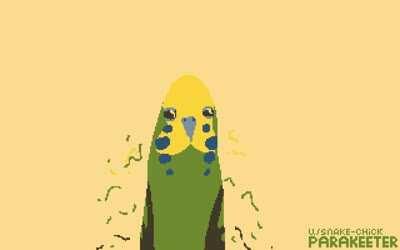 I made an animation of my budgie! :)