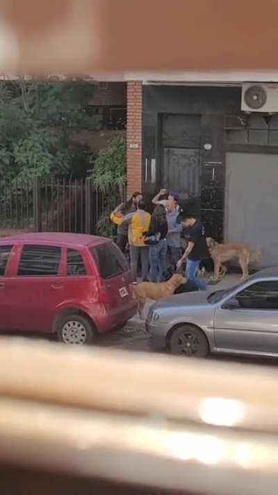 Dos cuida perros se cagan a piñas.