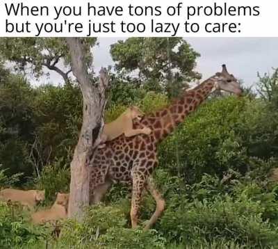 Government testing new bots