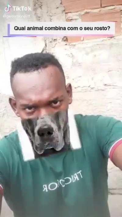 semtcholas - Video #8401