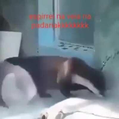 Brincadeira tem hora