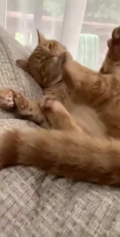 Just she can't realize she can rub her head without laying down