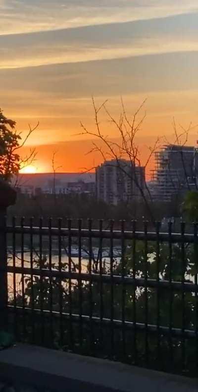 track id pls? 🙏🏼