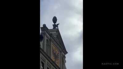 Flying Squirrel Vs Flying Humans ( Diving Contest )