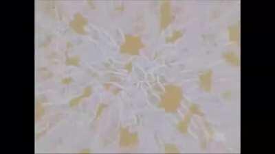 Wait for it...….. (+BONUS)