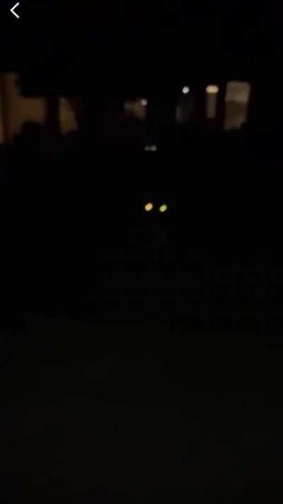 “Yo gup my sammy. Gup it, gup it - that’s my boy.”