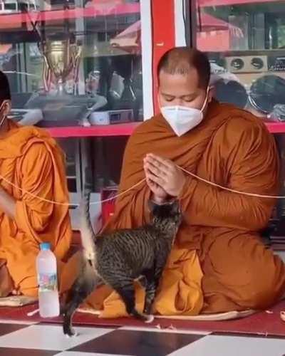 Pets now, pray later