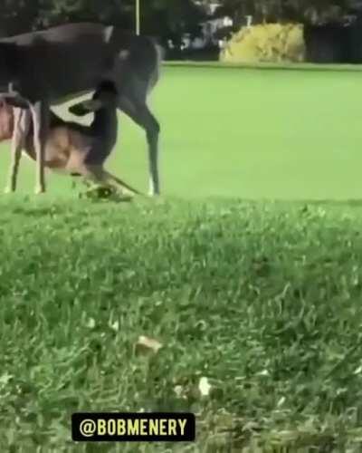 Now you have to live with too.