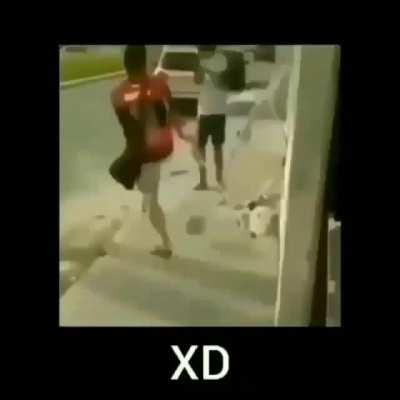 medio gracioso el muchacho xd