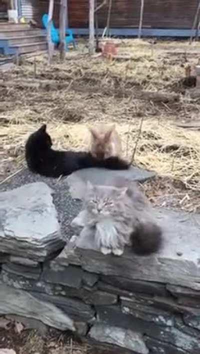 His hormones is on fire!