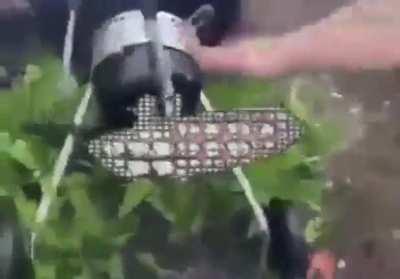 Anybody have the original post of this? Was it deleted?