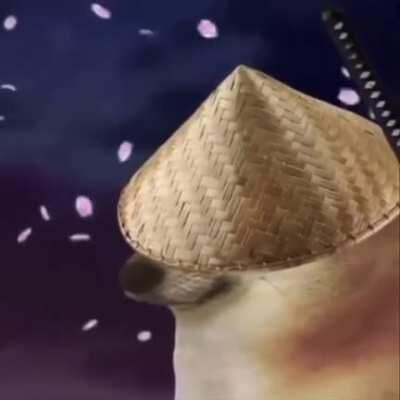 Sadly doesn't let me post it with sound