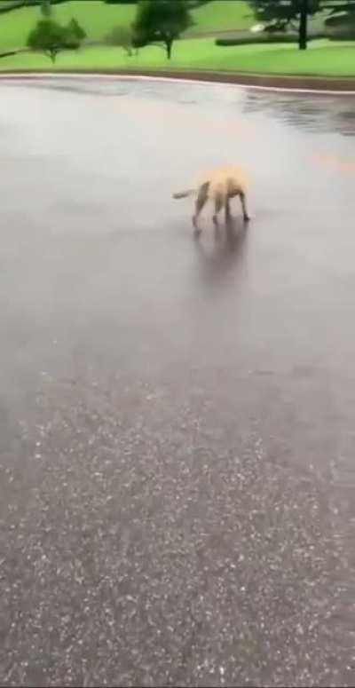 Welcome to the Hydrology Lab