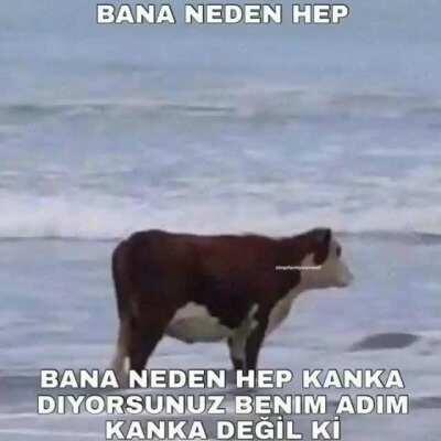 neden???????