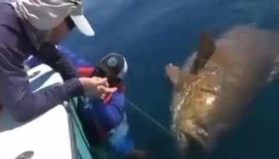 "Hold on to the fish, he'll float!"