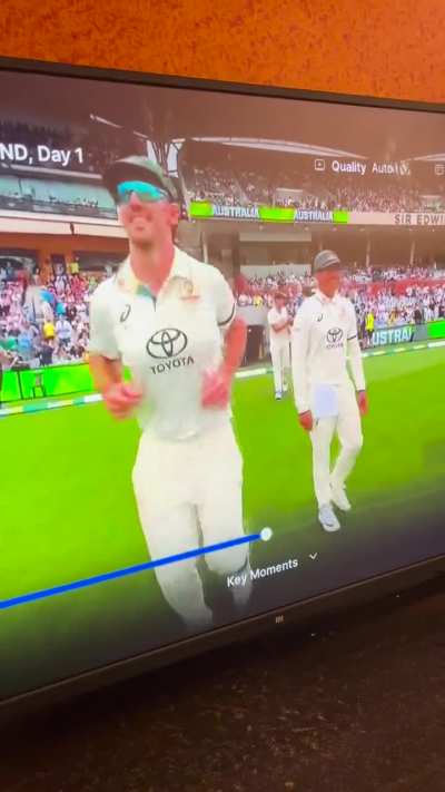 Bison getting naughty