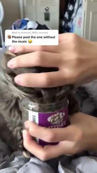 I will let my cat sniff the whole pot of cat crack, WCGW?