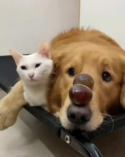 we are in this together