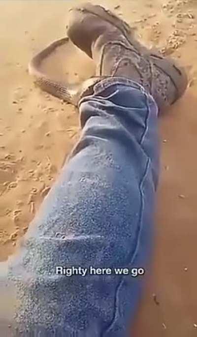 Aussie got a tiger snake up his pant leg...