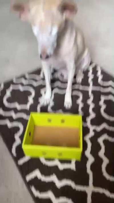 He didn't see this coming