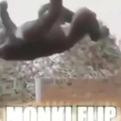Hey pewds can you monkey flip?