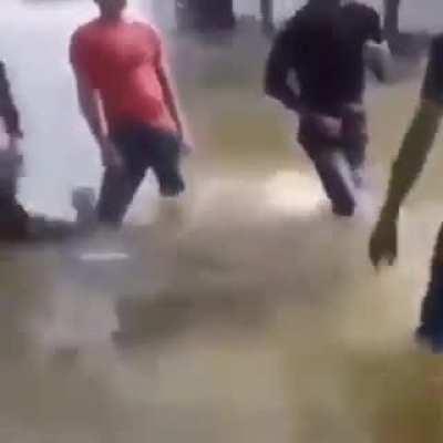 Chama os adm pra acorda o Pedro