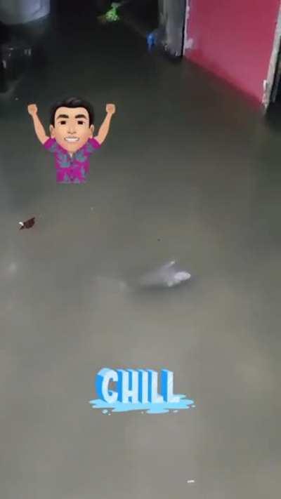 Omaigo el uriel nadando :rat: :gem: :rat: :gem: :rat: :gem: :rat: :gem: :rat: :gem: