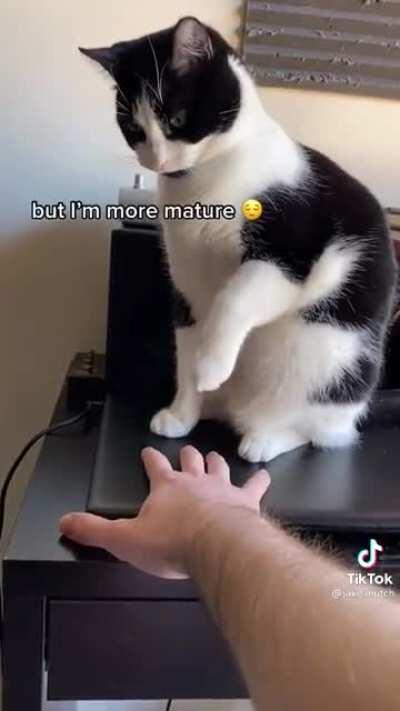 I’ll shake your hand