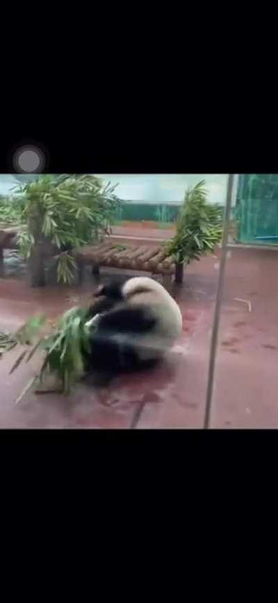 Just a cute Baneling