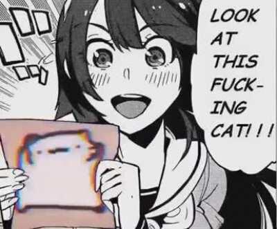 LOOK AT THIS FUCKING CAT