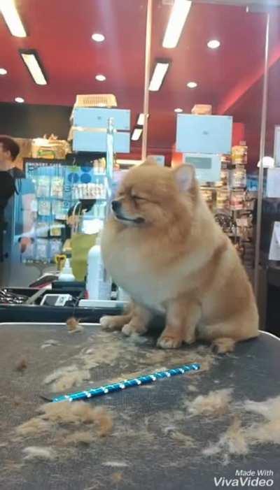 all systems offline... brace for impact...