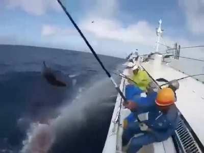 What's going on there?