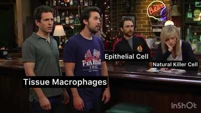 âThe Gang Gets Malignantâ