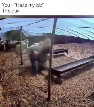 lettin yo guards down.... always watch your six around these nigg's