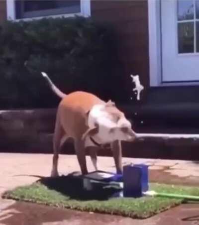 Almost. Almost. Almost!