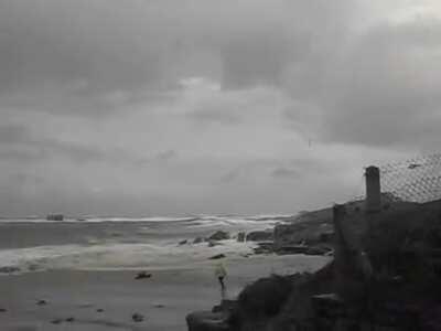 Elderly couple in France chose the smartest day to take a walk