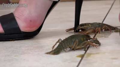 hot b&w sandals crwd extraits