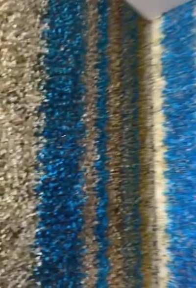 The carpeted bathroom