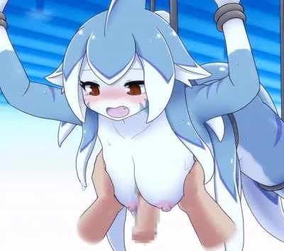 Kemono shark [MF] (Ugobeta)