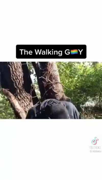 The walking gay😂🏳️‍🌈