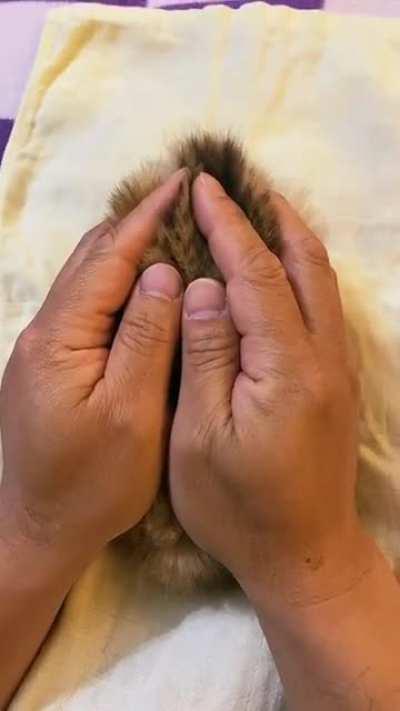 who is hiding here🤭🤭