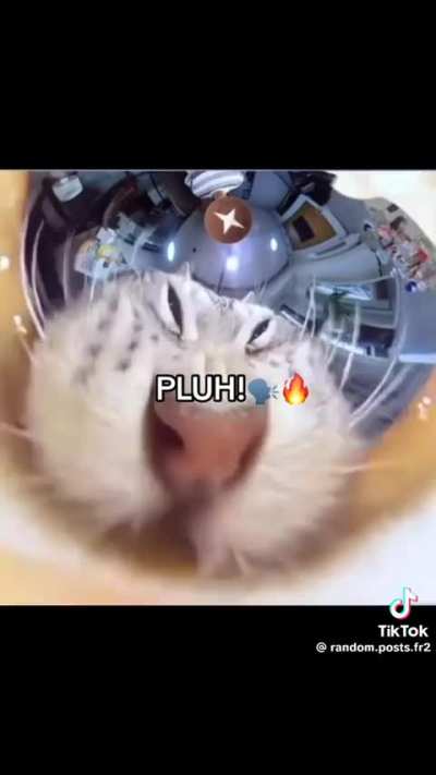 PLUH🔛🔝🔥🔥🗣