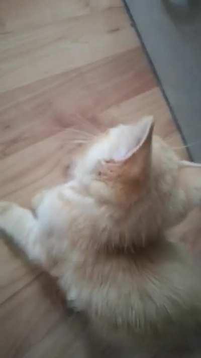 He learned how to obtain food