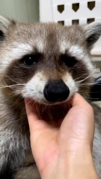 Lovely Good boy 😍