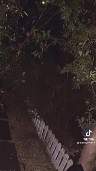 @oldfogeyjohn posted this to TikTok anybody have any idea what this is?