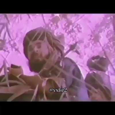 Afghan Diaspora 👎🤢